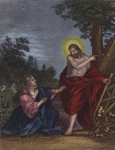 Elle, supposant que Joseph était le jardinier, dit... - English School