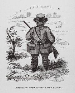 Tir avec Rover et Ranger - English School