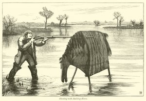 Chasse avec un cheval de traque - English School