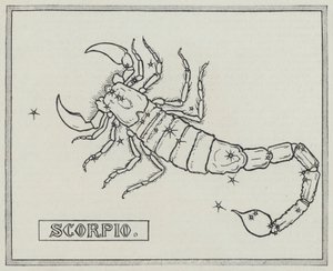 Signes du zodiaque : Scorpion (gravure) - English School