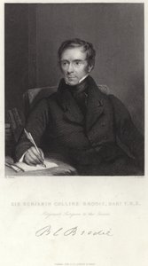 Sir Benjamin Collins Brodie - English School