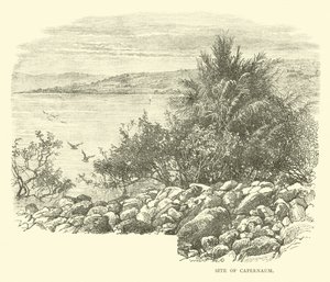 Site de Capharnaüm