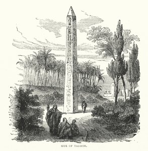 Site de Tadmor - English School