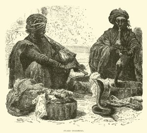 Charmeurs de serpents