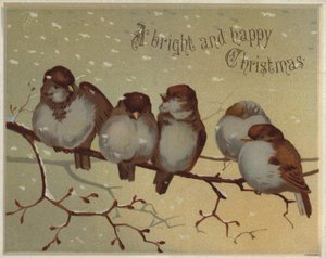 Moineaux perchés sur une branche dans la neige