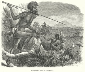La chasse au kangourou (gravure) - English School