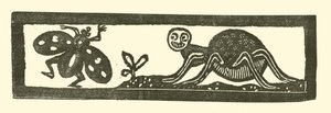 Araignée et mouche - English School