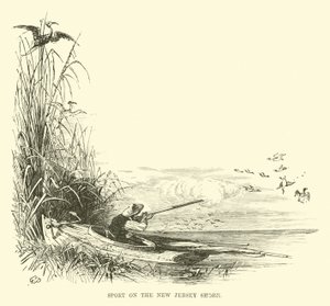 Sport sur la côte du New Jersey