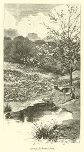 Printemps, parc de Richmond - English School