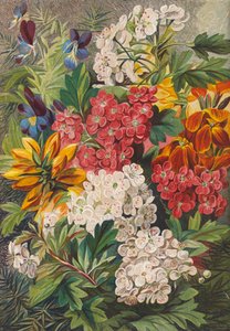 Fleurs de printemps (lithographie couleur) - English School