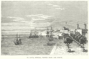 St Louis, Sénégal, vu du nord (gravure) - English School