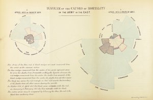 Graphique statistique inventé par Florence Nightingale pour montrer la prédominance des maladies comme cause de mortalité dans l