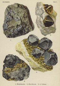 Sulfures, molybdénite, blende de zinc, galène (lithographie en couleur) - English School