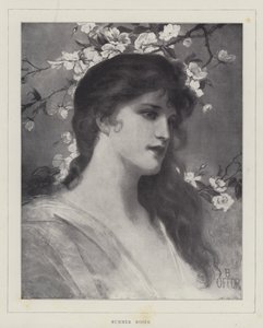 Roses d