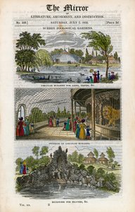 Jardins zoologiques de Surrey - English School