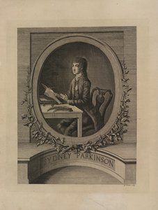 Sydney Parkinson, frontispice de 
