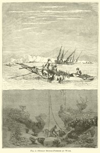 Pêcheurs d