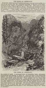 Les Bouleaux d