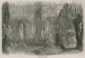 Le Colosseum - Grotte de stalactites - English School