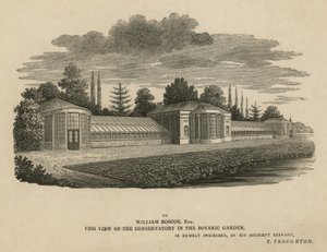 La serre du jardin botanique, Kew, Londres - English School