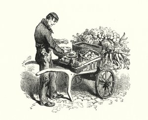 Le costermonger