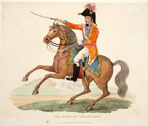 Le Duc de Wellington, publié par Richard Evans, gravé par Romney, illustration de An Historical Account of the Battle of Waterloo par William Mudford, 1816 - English School