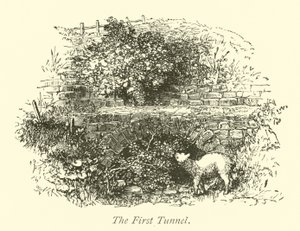 Le Premier Tunnel - English School