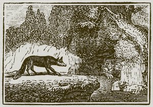 Le renard et le lion malade (gravure) - English School