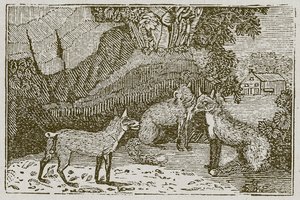 Le renard sans queue (gravure) - English School