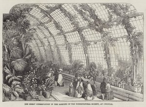 La grande serre dans les jardins de la Société horticole, à Chiswick (gravure) - English School