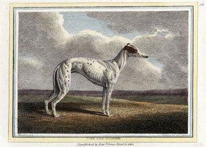 Le Lévrier, pub. 1812