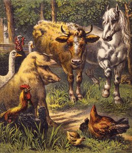 Le lièvre et la tortue