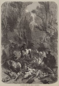 La chasse impériale dans la forêt de Fontainebleau - English School
