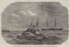 Le Jackal Tender et les bateaux allant à la rencontre du paquebot postal américain à Roche