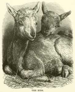 Les enfants (gravure)