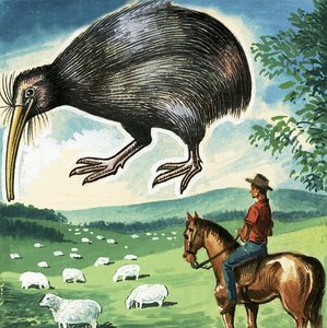 Le Kiwi, emblème de la Nouvelle-Zélande - English School