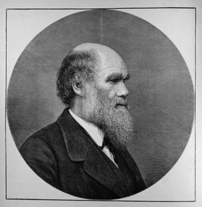 Le défunt M. C. R. Darwin, FRS, LLD, de The Illustrated London News, 29 avril 1882