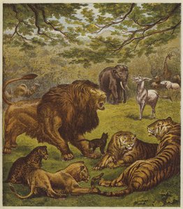 La réception du lion - English School