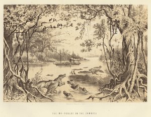 Le Ma-Robert sur le Zambèze