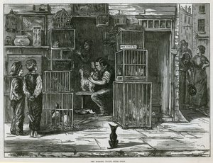 La toilette du matin, Seven Dials - English School