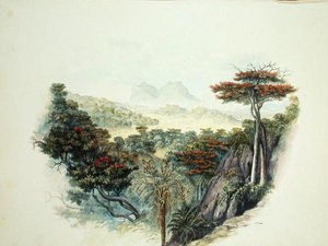Les montagnes, Ceylan - English School
