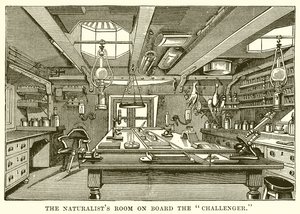 La salle des naturalistes à bord du Challenger - English School