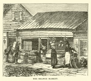 Le marché aux oranges - English School