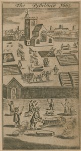 La peste de 1665
