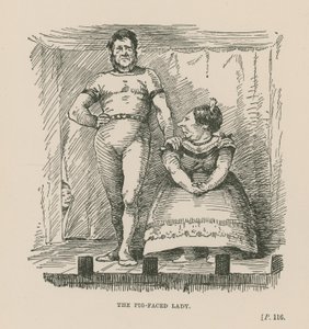 La dame au visage de cochon - English School