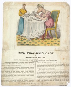 La Dame au visage de cochon de Manchester Square
