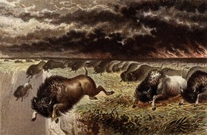 La prairie en feu