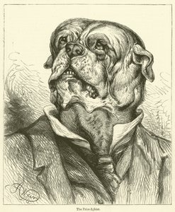 Le Boxeur