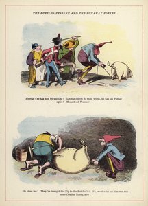 Le paysan perplexe et le cochon en fuite