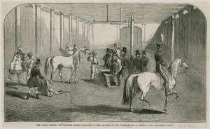 La Reine regardant les chevaux arabes présentés à Sa Majesté, dans la maison de manège à Pimlico - English School